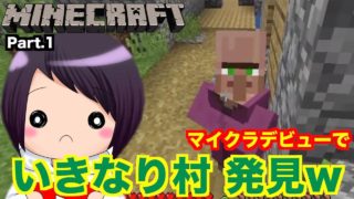 祝・マインクラフトデビュー！！初回から村を発見して大忙し…。【マイクラ Part 1】