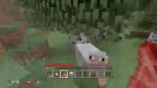 フレンドとマインクラフト