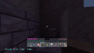 フレンドとマインクラフト