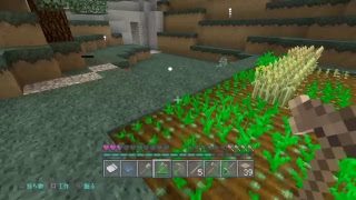 フレンドとマインクラフト