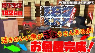 マインクラフト ┃よってらっしゃいみてらっしゃい！新店舗お魚屋さん完成！地下生活182日目/ぽこなかくら#432