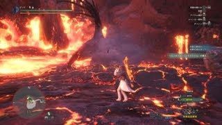 モンスターハンター：ワールド_極ベヒーモスソロ　ライトボウガン　不屈使用