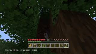 ［PS4］のほほんマインクラフト