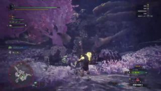 【MHW】モンスターハンター・ワールドやります
