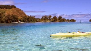 【MHW】モンスターハンターワールド　トウヤとたくまるとみそかつみんなでららたんの装備を作る巻♪【PS4 pro】