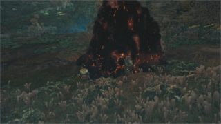 #16【ハンティングアクション】たかの「モンスターハンター：ワールド」