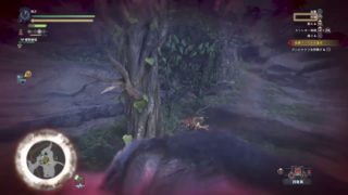 モンスターハンターワールド　初心者です後夢奈です