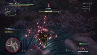 【PS4】[MH:W]並以下ふんたー暇なのでプレー垂れ流し＃08(モンスターハンターワールド)