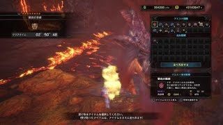 モンスターハンター：ワールド_テオ、バフ無し殴りガイラ毒で３分切れた