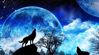 [MHW]モンハンワールド夜中に誰か手伝ってくれないかな？参加型