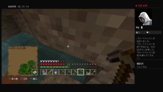 マインクラフト PS4 Pro #2