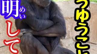 ＰＵＢＧモバイル全力実況(ΦωΦ)