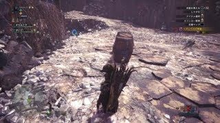 モンスターハンター：ワールド_20190401010049