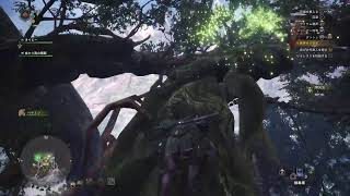 今更始める?!モンスターハンターワールド Part5