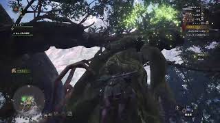 今更始める?!モンスターハンターワールド Part5