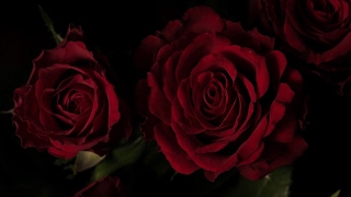 だらだらマインクラフト