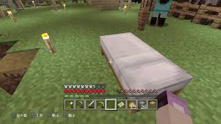 マインクラフト　誰にも注目されない童○インキャ配信　悔い改めて