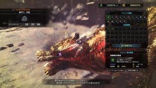 モンスターハンター：ワールド_20190223001641