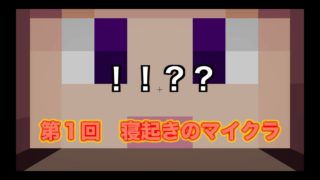 寝起きにする【マインクラフト】　第１回