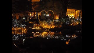 【モンスターハンターワールド】夜中討伐会配信＃13