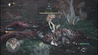 モンスターハンター：ワールド　歴戦ハザク　弓ソロ