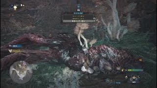 モンスターハンター：ワールド　歴戦ハザク　弓ソロ