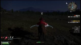 真・三國無双8 気ままに騎士しょうこうプレイ