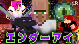 これが俺らのマインクラフト　#8
