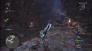 MHWモンスターハンターワールド　一撃用アイテム集め　周回コース
