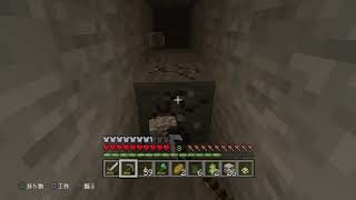 【PS4版  マインクラフト】お久しぶりです！実況