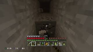 【PS4版  マインクラフト】お久しぶりです！実況