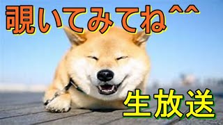 【スプラトゥーン２】しっとりとスプラ【雑談】