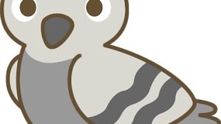 GT悟空遊びます