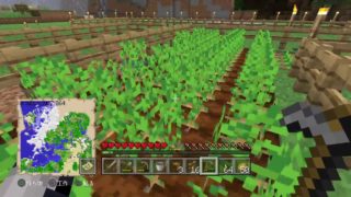 【マイクラ】のんびりマインクラフト【PS4】