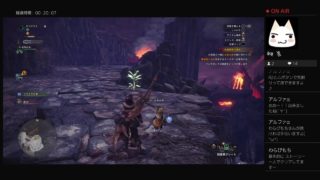 モンスターハンターワールド　初心者が逝くパート13
