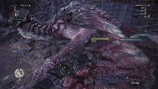 モンスターハンター：ワールド　レウス狩猟　20190501131843