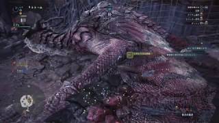 モンスターハンター：ワールド　レウス狩猟　20190501131843