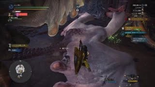 モンスターハンター：ワールド_20190502225130