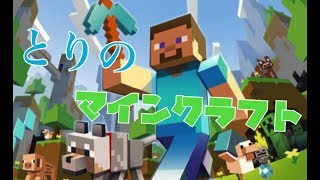 マインクラフト参加型ライブ　マイクラ初心者だから教えてちょ