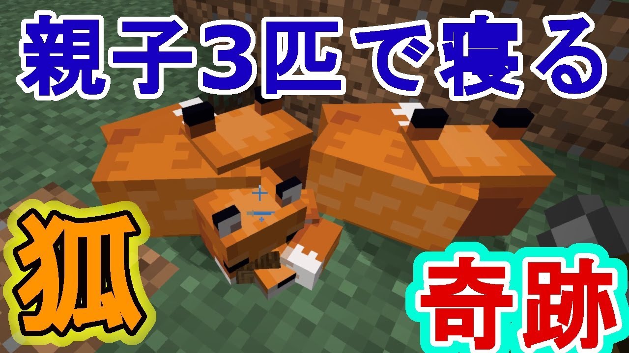 【マインクラフト】村、ついに発見！【minecraft】