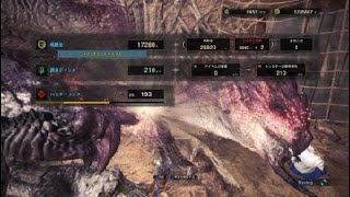 モンスターハンター：ワールド_20190513114709