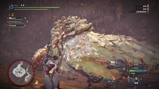 モンスターハンター：ワールド_20190502233609