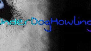 ［Minecraft］［参加型］　5日目　まだまだ掘り続ける事を始めました。　＃Minecraft #マインクラフト #マイクラ