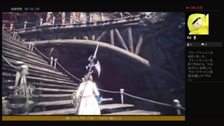 モンスターハンターワールド！アステラ祭楽しむ！