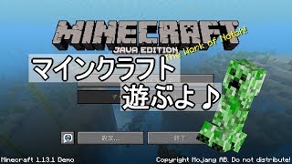 【ライブ】ＰＣ版マインクラフト
