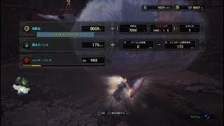 モンスターハンター：ワールド_20190513111314