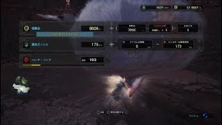 モンスターハンター：ワールド_20190513111314