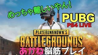 [PUBG/PS4] あかねのププププレイ！ドン勝目指して！