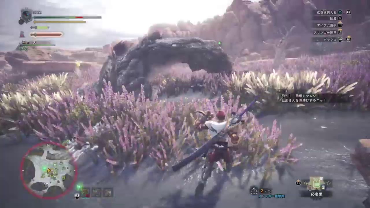 モンスターハンター：ワールド（ソロプレイ）Part27