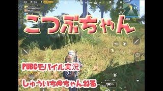 【PUBGモバイル】フレンドさん達VSこつぶちゃん【実況】